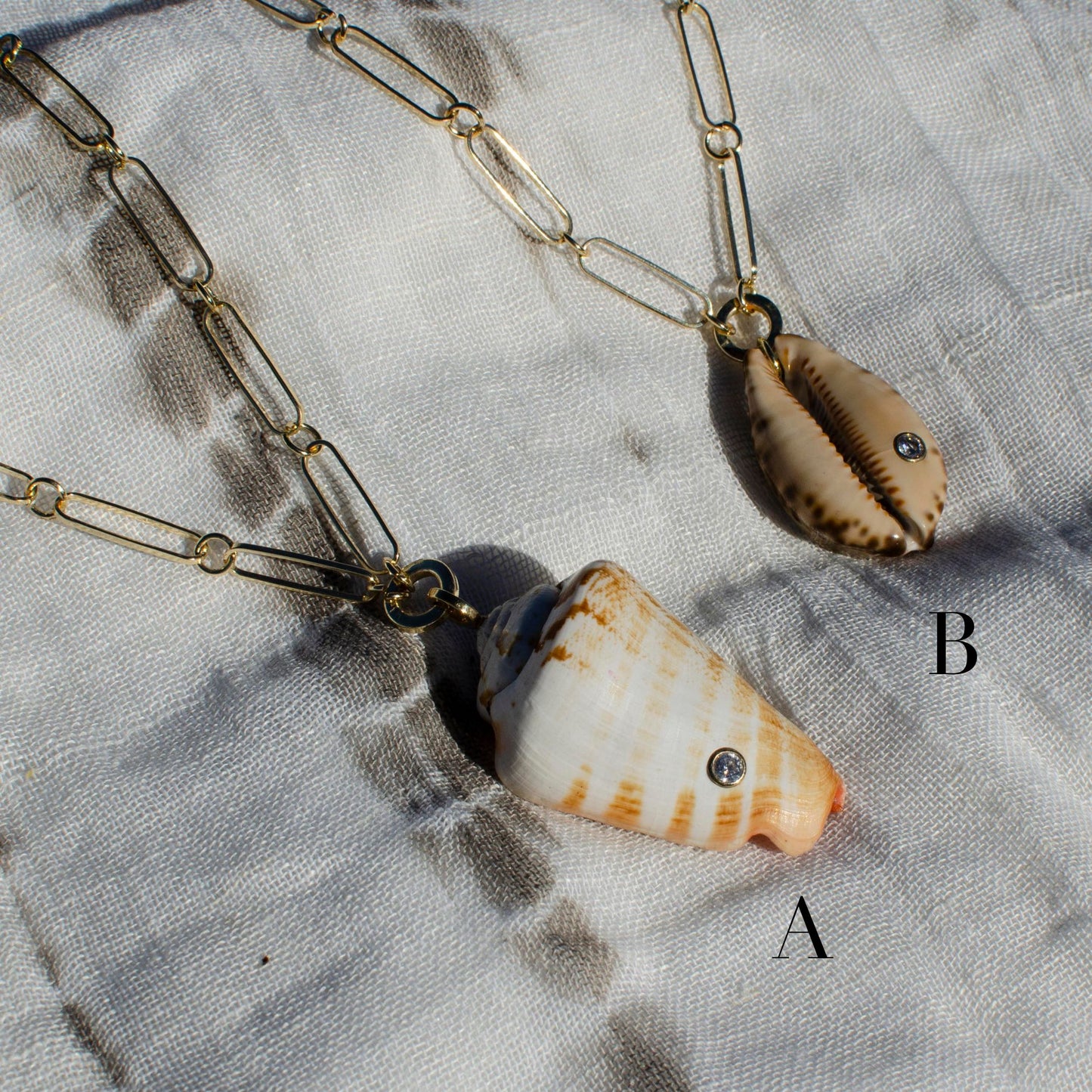 Sparkle Sea Shells