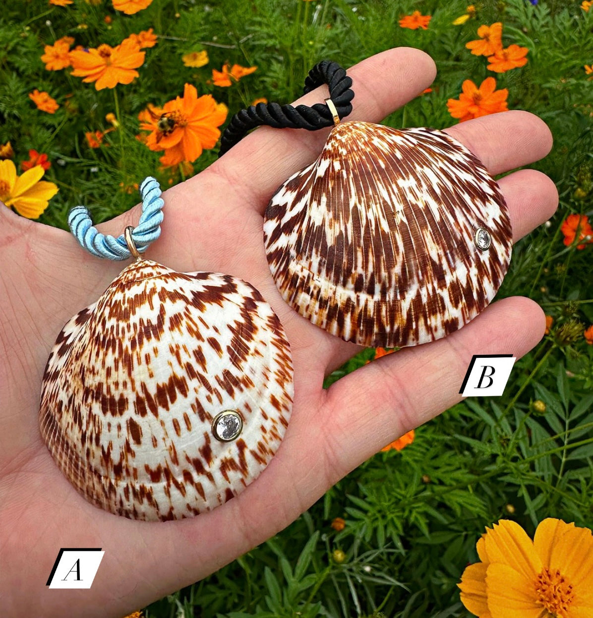 Bittersweet Shell Necklace