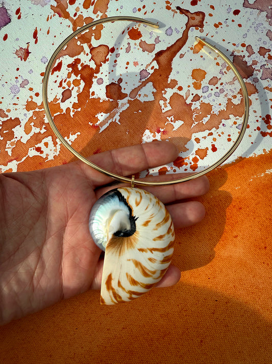 Tiger Nautilus Shell Pendant & Collar