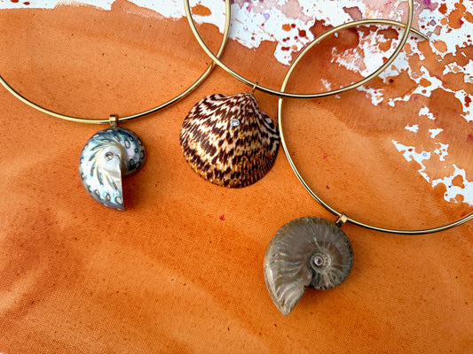 Assorted Shells on Goddess Collar