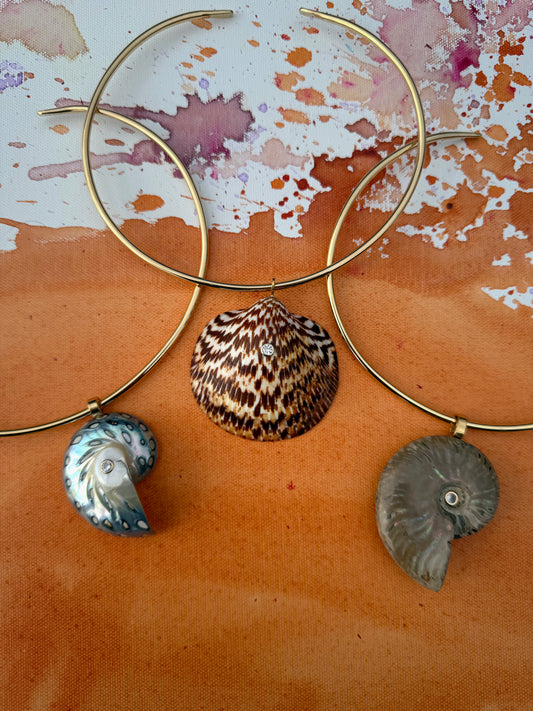 Assorted Shells on Goddess Collar