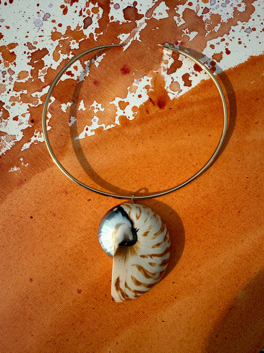 Tiger Nautilus Shell Pendant & Collar