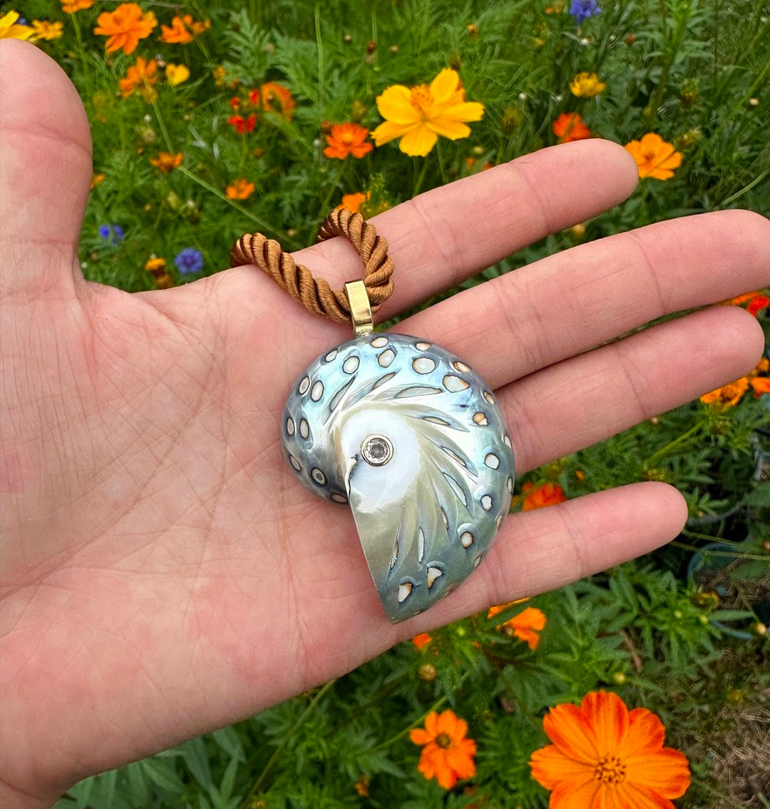 Nautilus Pendant On Rope
