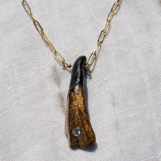 Sparkle Buffalo Tooth Pendant