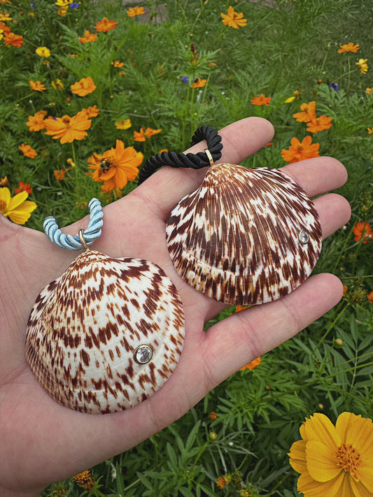 Bittersweet Shell Necklace