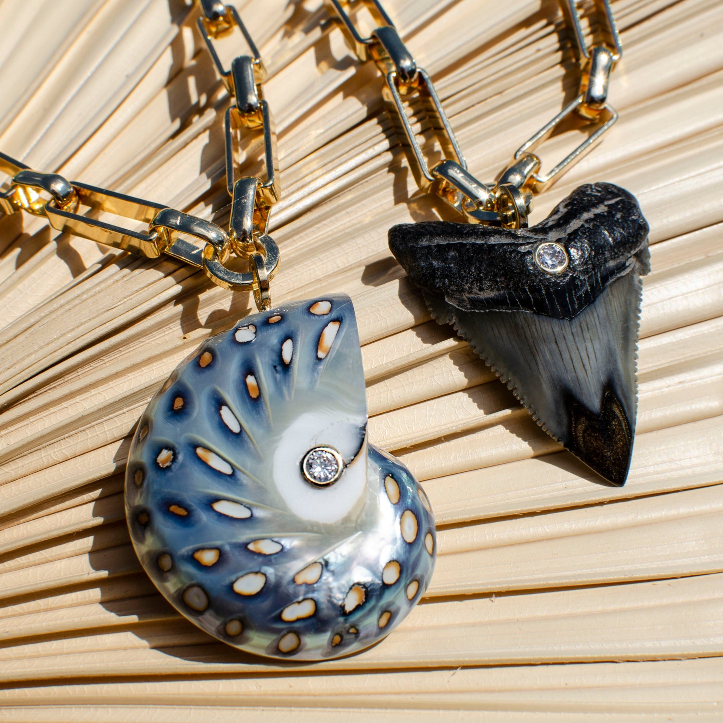 Nautilus Pendant Necklace