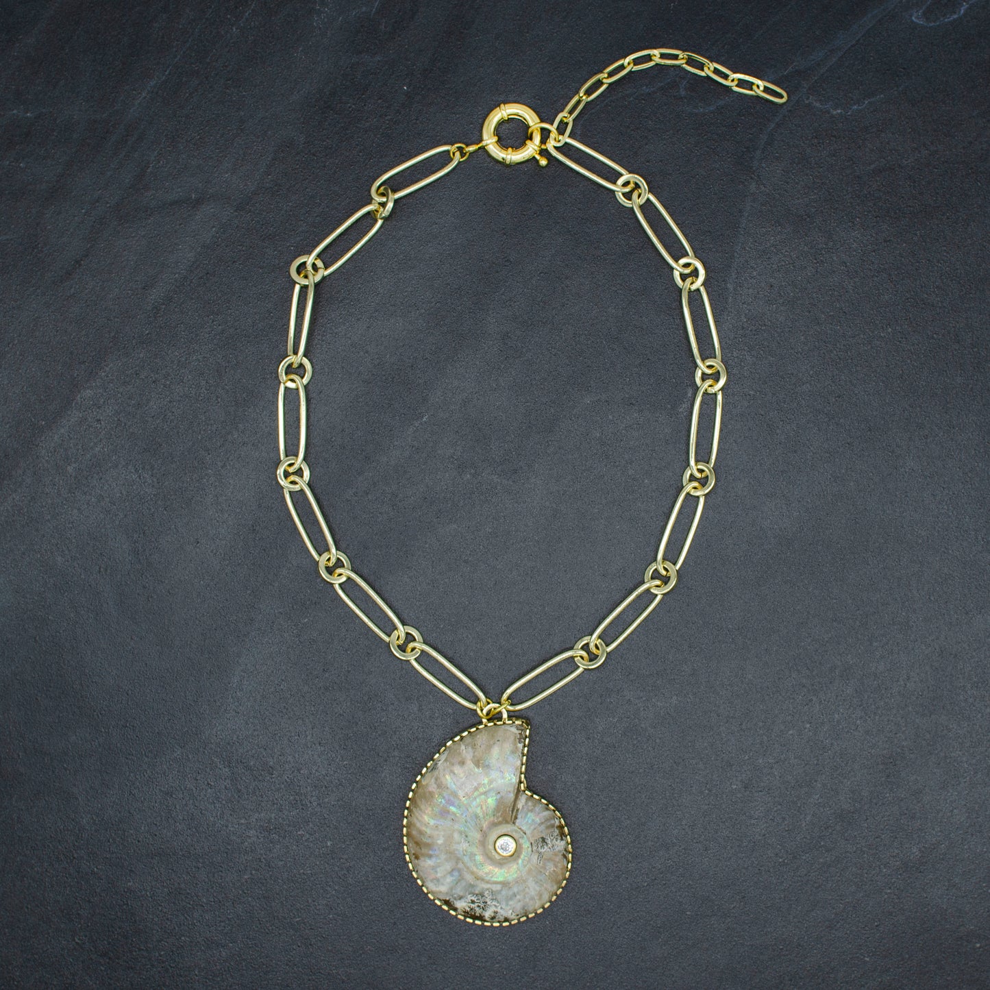 Ammonite Fossil Statement Necklace