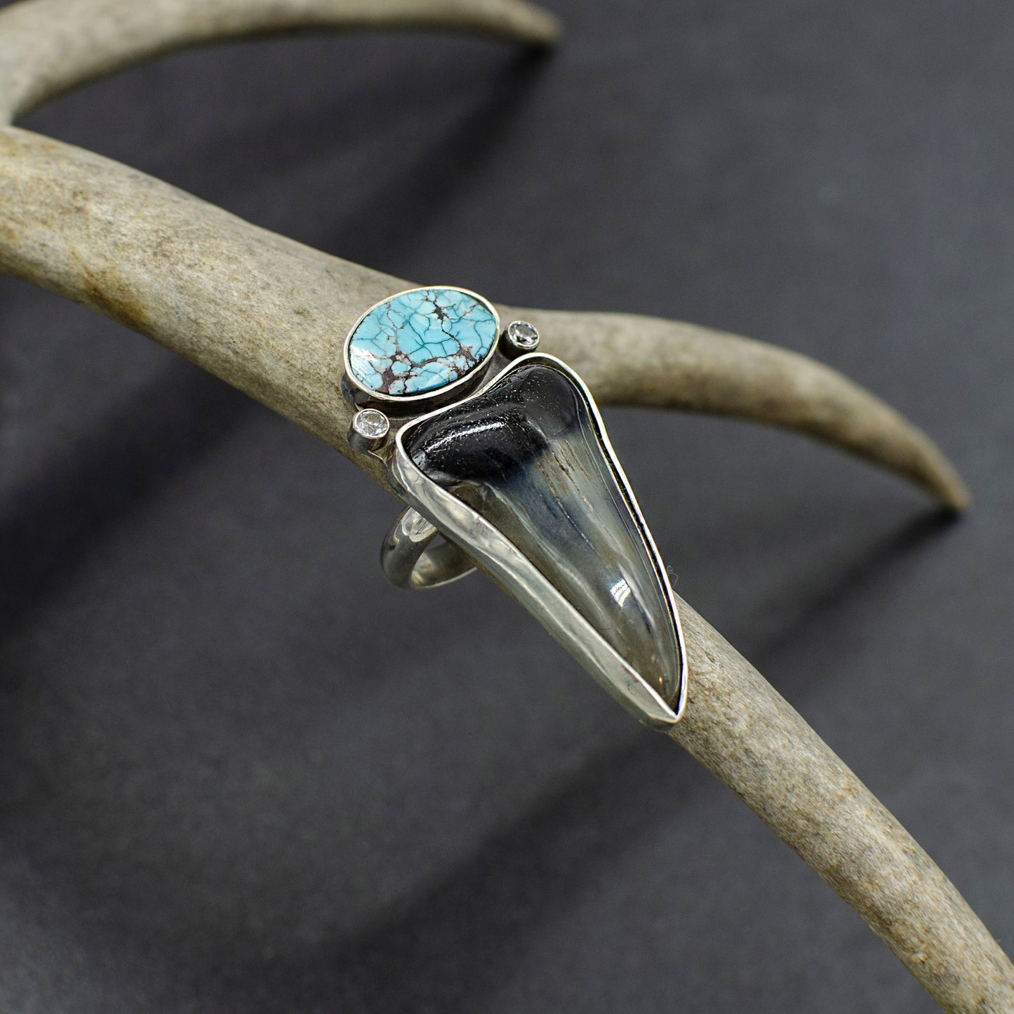 Mako Sharks Tooth and Turquoise Ring
