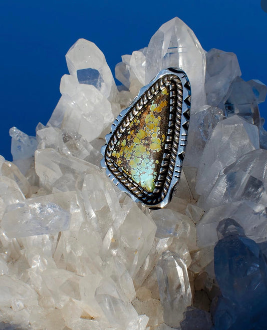 Quingu Turquoise Bold Statement Ring