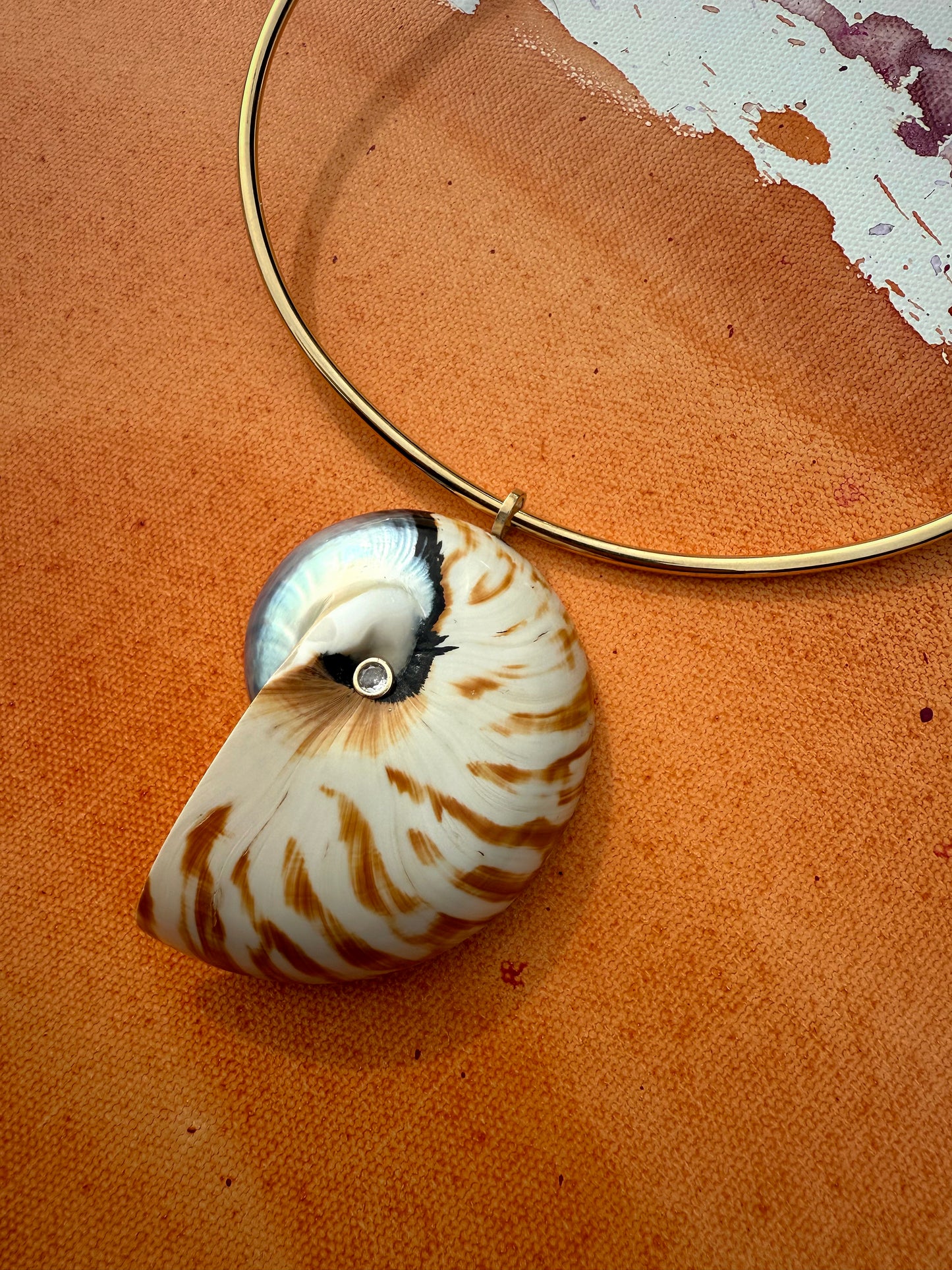 Tiger Nautilus Shell Pendant & Collar