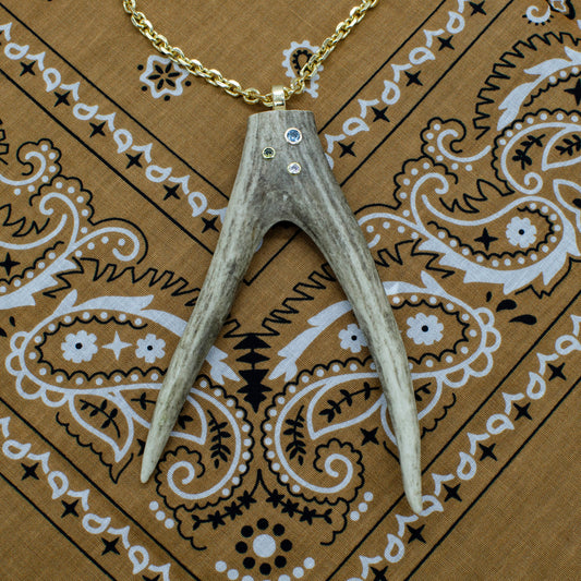 Anter Tine Inlay Neckalace