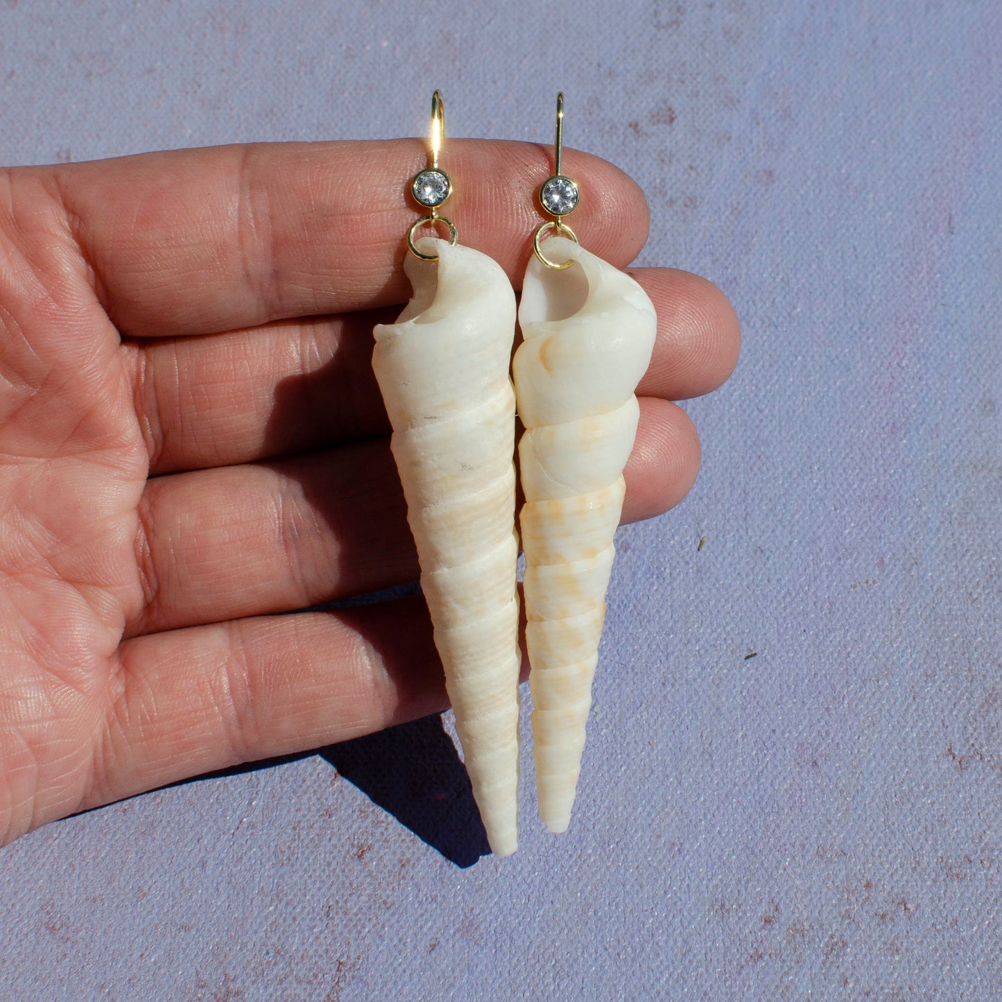 Turritella Shell Drop Earrings