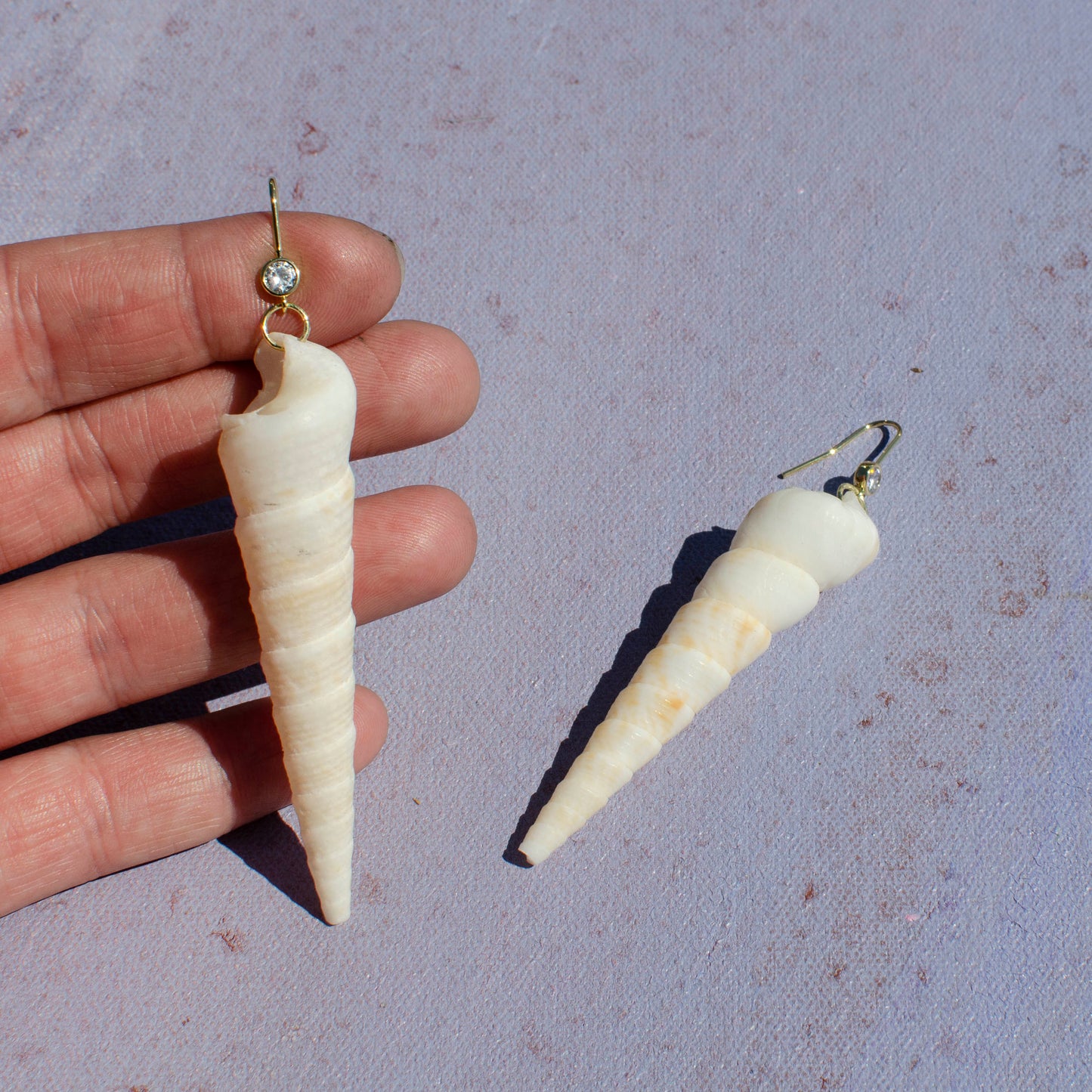 Turritella Shell Drop Earrings