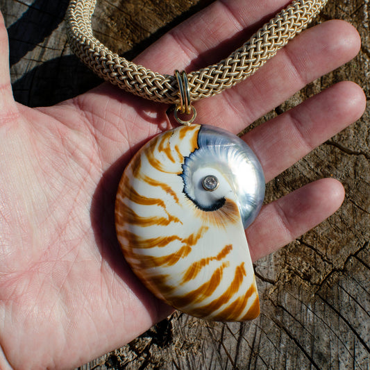 Tiger Sparkle Nautilus Shell on Crocheted Silk Rope