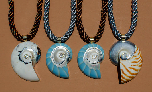 Large Sparkle Nautilus on Twisted Rope