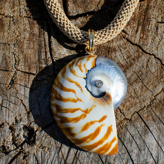 Tiger Sparkle Nautilus Shell on Crocheted Silk Rope