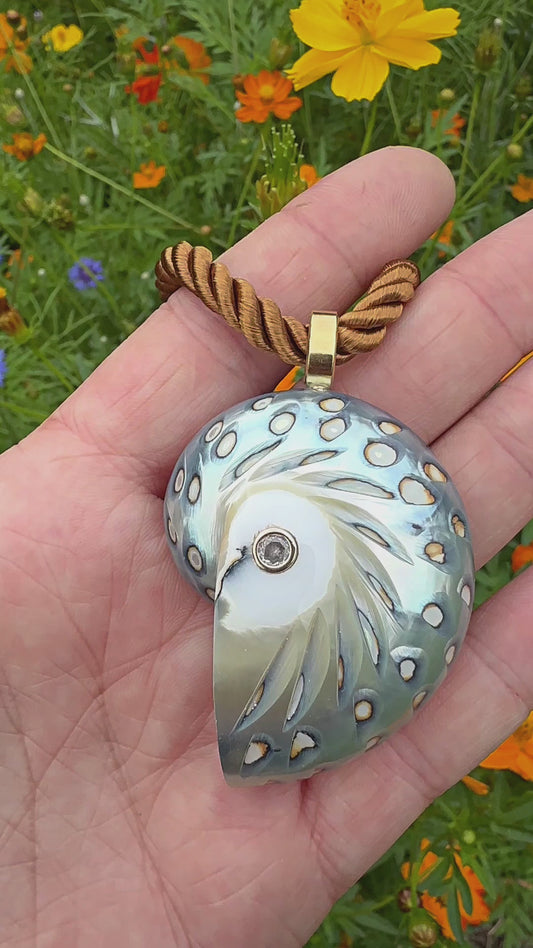 Nautilus Pendant On Rope