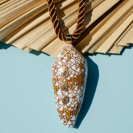 Shimmer Textile Cone Shell