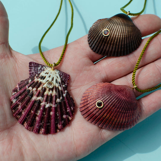 Dainty Slider Shells