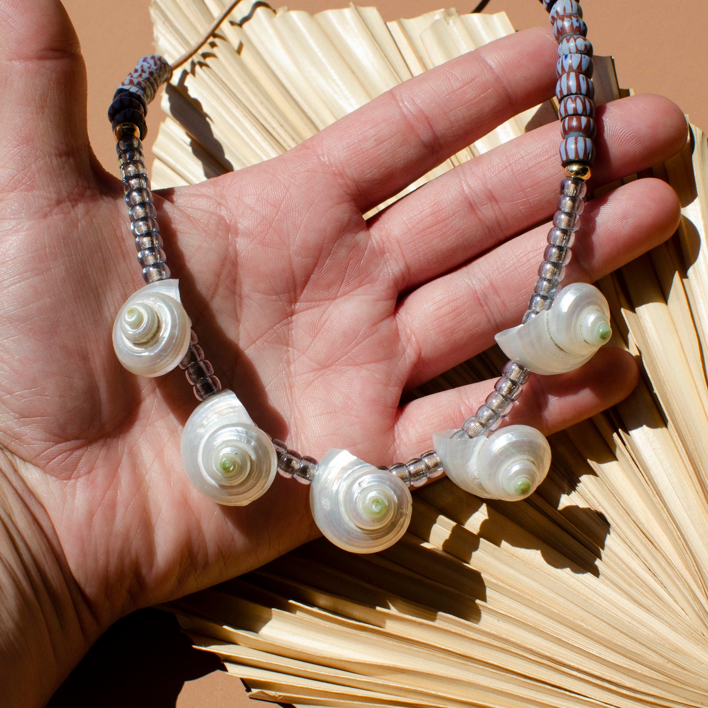 Turbo Shell Neckalce