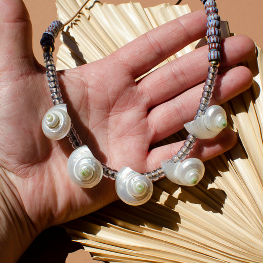 Turbo Shell Neckalce