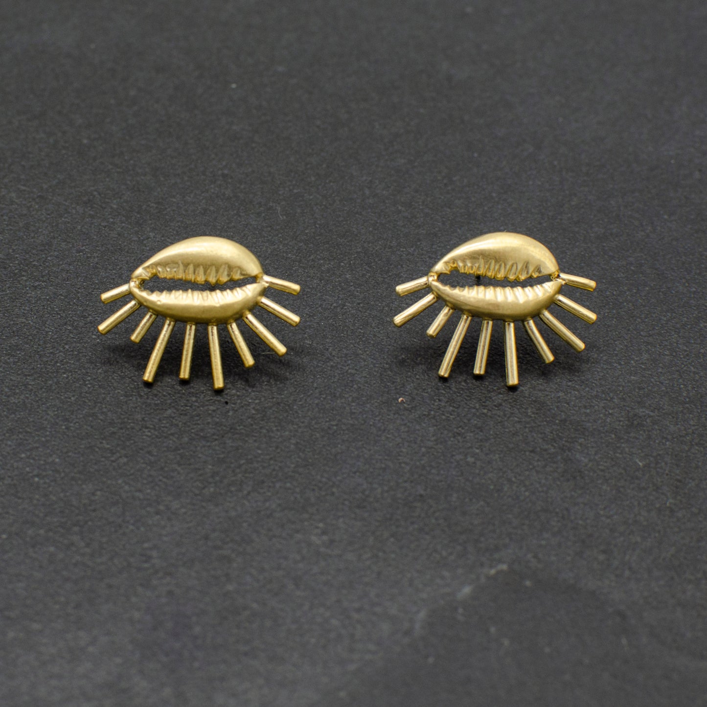 Cowrie Studs