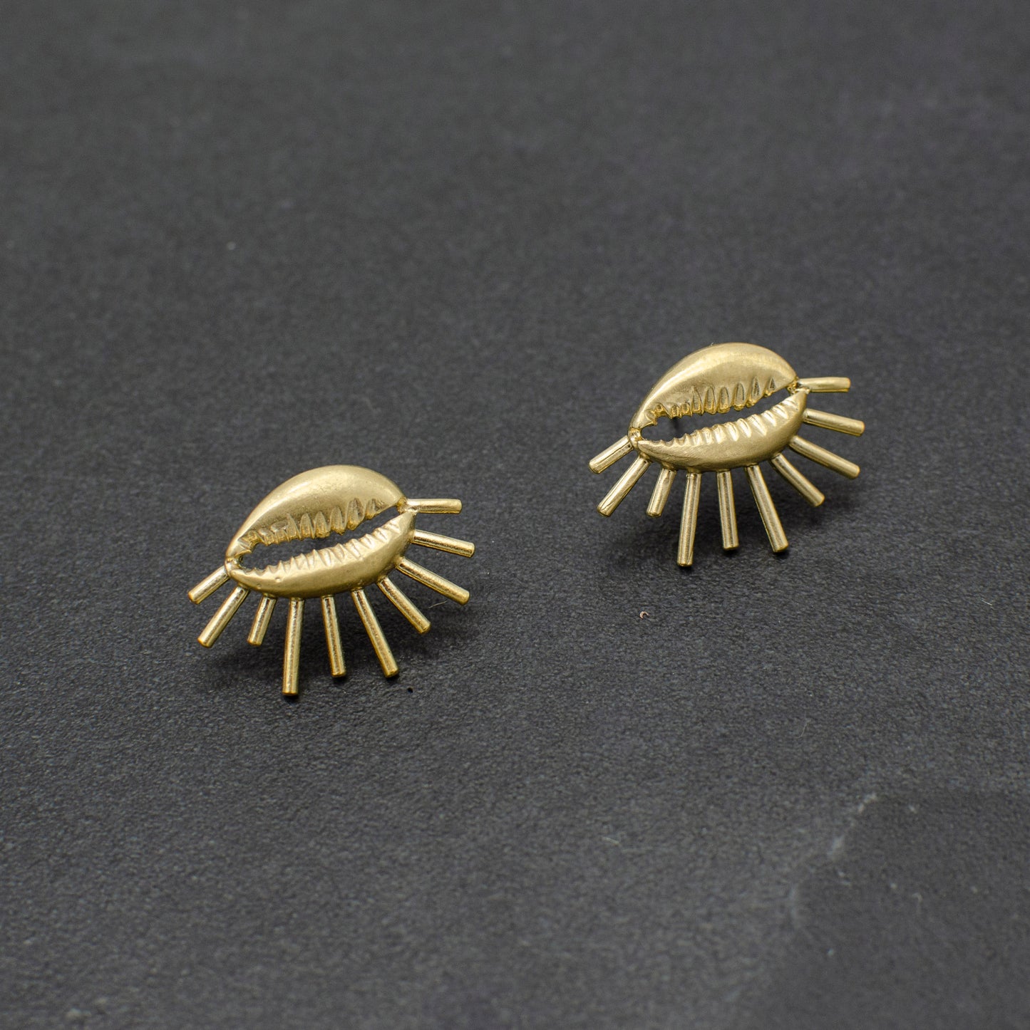 Cowrie Studs